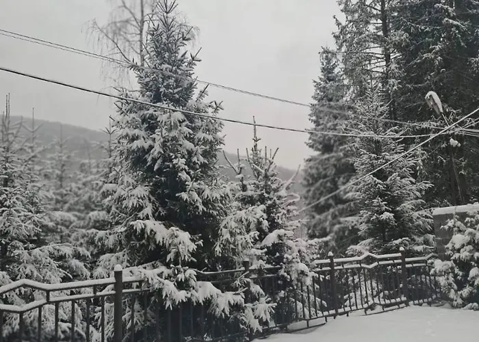 Legend Dağ evi